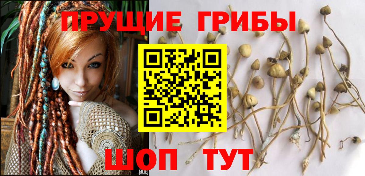 Лангепас  Псилоцибиновые грибы прущие грибы  Вход с VPN 